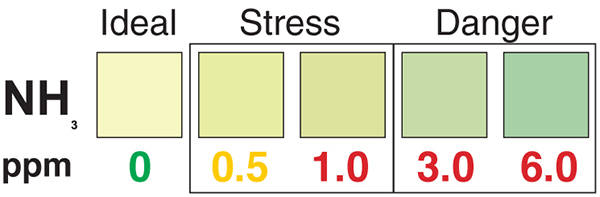 Test Strips Ammoniak - farvekoder